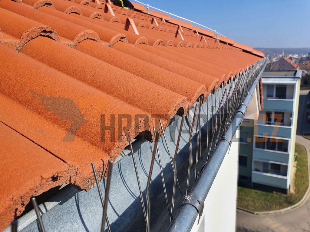 Hroty-Sítě: Profesionální montáž ochrany proti ptactvu.