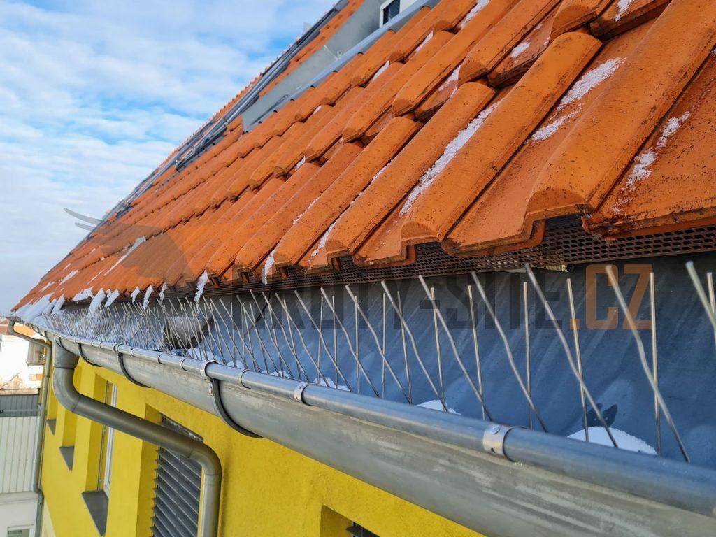 Hroty-Sítě: Profesionální montáž ochrany proti ptactvu.