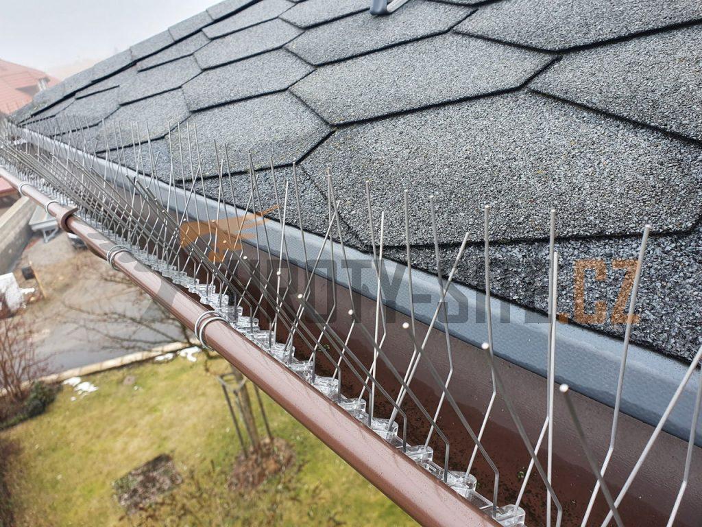 Hroty-Sítě: Profesionální montáž ochrany proti ptactvu. Hroty-Sítě: Profesionální montáž ochrany proti ptactvu.