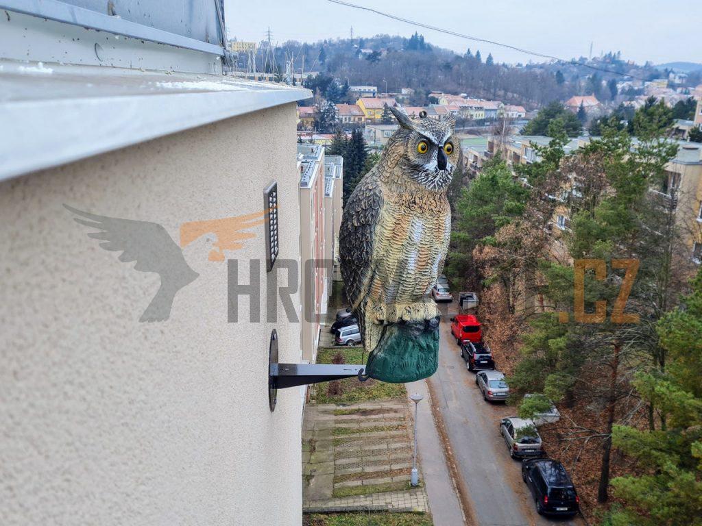 Hroty-Sítě: Profesionální montáž ochrany proti ptactvu. Hroty-Sítě: Profesionální montáž ochrany proti ptactvu.