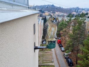 Instalace Makety dravce na fasádu - Brno