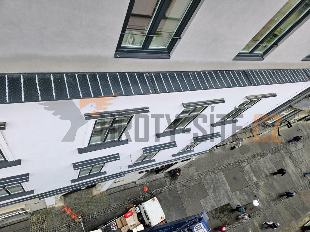 Hroty-Sítě: Profesionální montáž ochrany proti ptactvu. Hroty-Sítě: Profesionální montáž ochrany proti ptactvu.