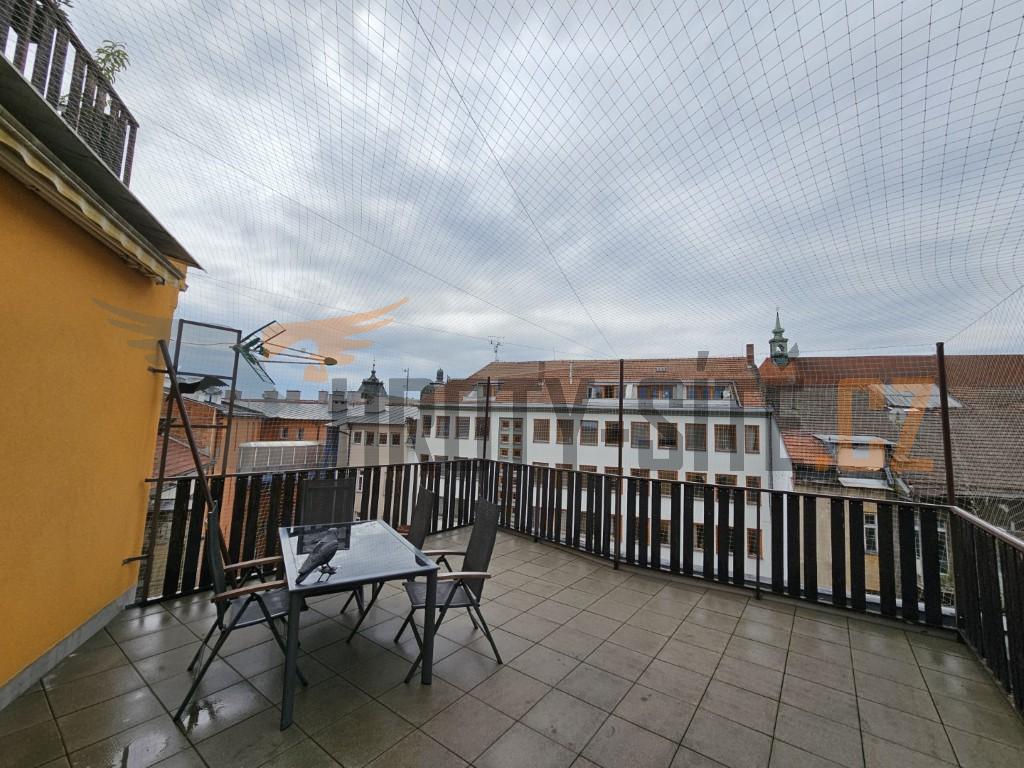 Hroty-Sítě: Profesionální montáž ochrany proti ptactvu. Hroty-Sítě: Profesionální montáž ochrany proti ptactvu.